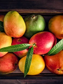 mango 7 - unsplash (1)