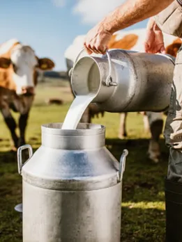 milk 3 - unsplash (1)