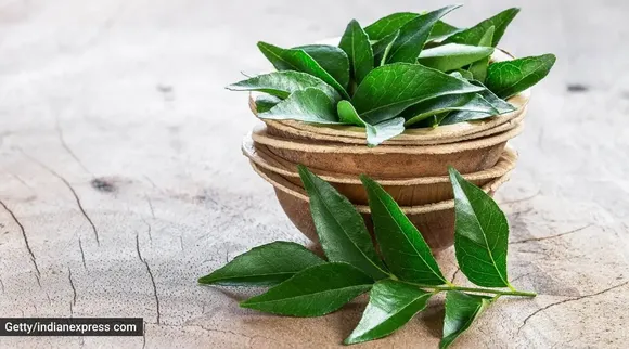 சுகர், இதய நோய்க்கு இது தீர்வு… கருவேப்பிலையை இப்படி பயன்படுத்துங்க!