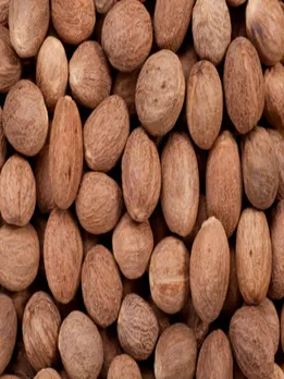 nutmeg 4 - unspalsh (1)