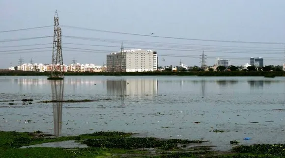 pallikaranai-marsh