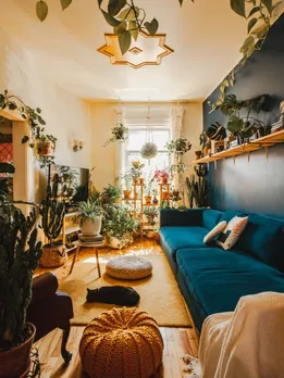 plants 7 - unspalsh (1)