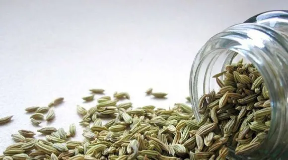 fennel seeds benefits in tamil: From aiding digestion to controlling blood sugar