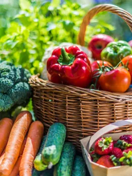 vegetables 2 - unsplash (1)