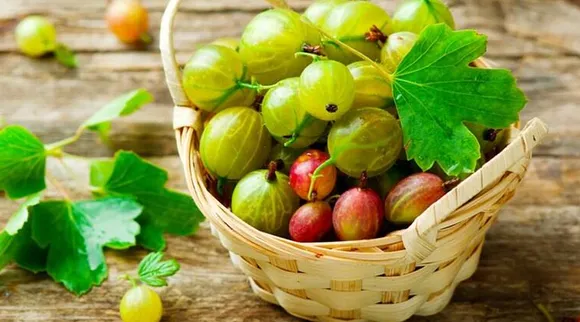 நெல்லிக்காய் ஜூஸ் தினமும் இப்படி சாப்பிடுங்க... சுகர் போயே போச்சு!