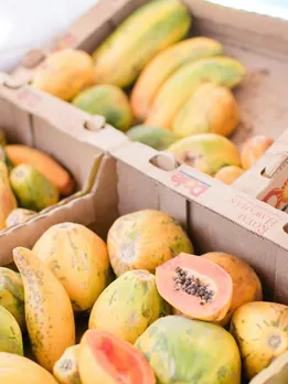 Papaya 6 - unsplash (1)