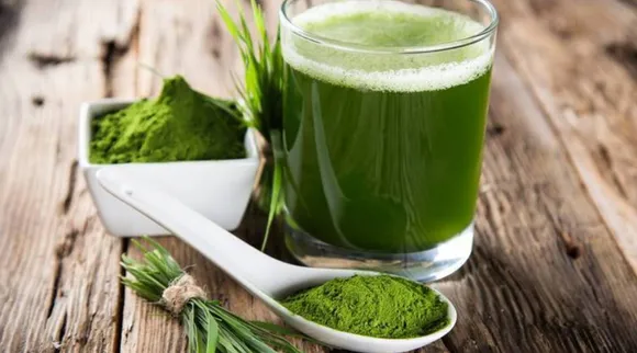 Best Healthy juice for above 50 aged persons, Best Healthy juice, பச்சை காய்கறிகள் ஜூஸ், கோதுமை புல் ஜூஸ், ப்ரோகோலி ஜூஸ், 50 வயதுக்கு மேல் பெஸ்ட் ஜூஸ், Kale Juice, Wheat grass juice, Tamilnadu, Healthy juice for above 50 aged, Tamil Indian Exrpess