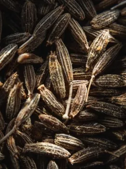 cumin 4 - unspalsh (1)