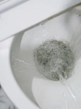 flush - unspalsh (1)