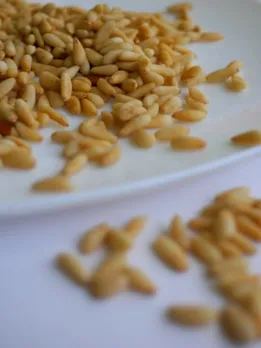 pine nuts 4 - unsplash (1)