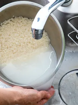rice water 1 - unsplash (1)