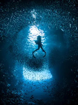 scuba diving 2 - unsplash (1)