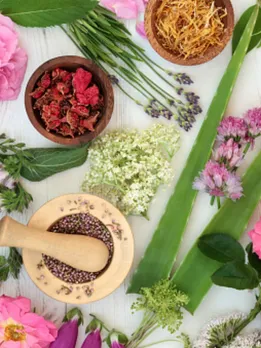 skincare ingredients 1 - unsplash (1)