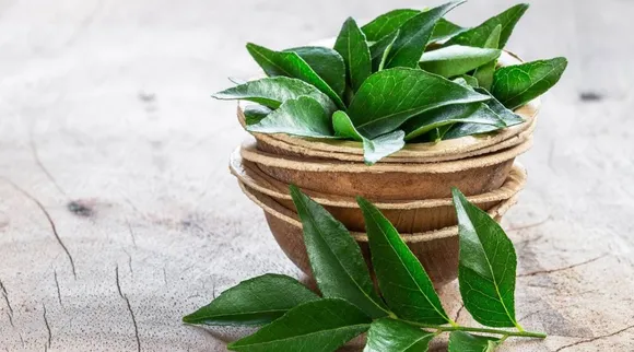 how to consume curry leaves for diabetes and cholesterol in tamil