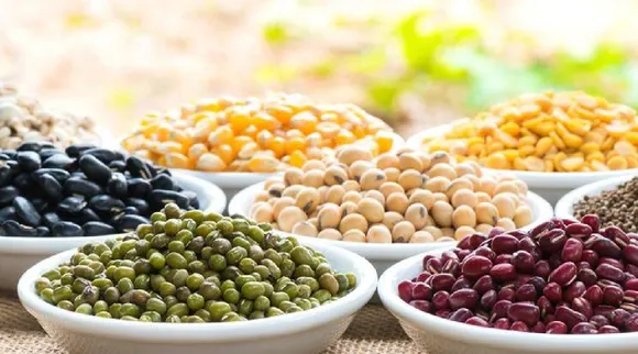 weight loss foods in tamil: 4 high-protein lentils that are best for weight loss