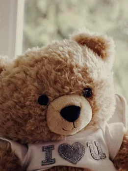 teddy 4 - unsplash (1)