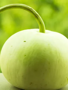 ash gourd 8 - unsplash (1)