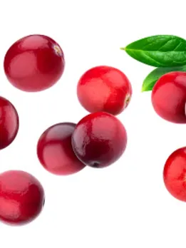 cranberry 1 - unsplash (1)