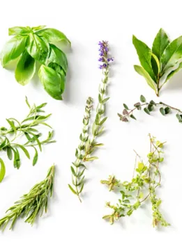 herbs 2 - unsplash (1)