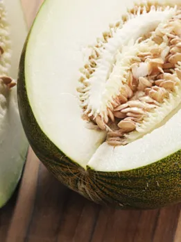muskmelon 2 - unspalsh (1)