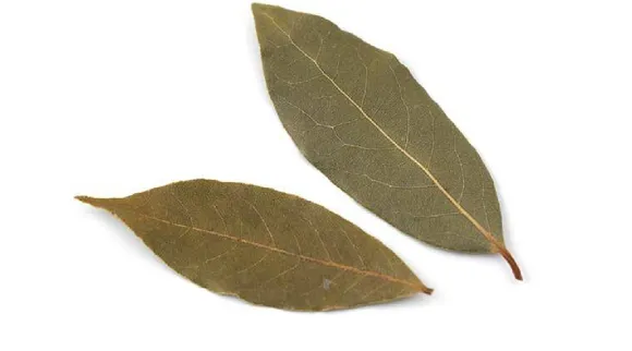 biryani leaf benefits in tamil: How To Use Bay Leaves to control Blood Sugar