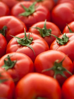 tomato 3 - unsplash (1)