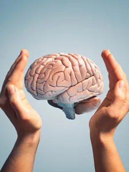 brain 8 - unsplash (1)