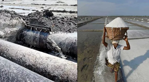 Salt bans, Ennore, Ennore Creek, Ennore news, Ennore Thermal Plant, TANGEDCO
