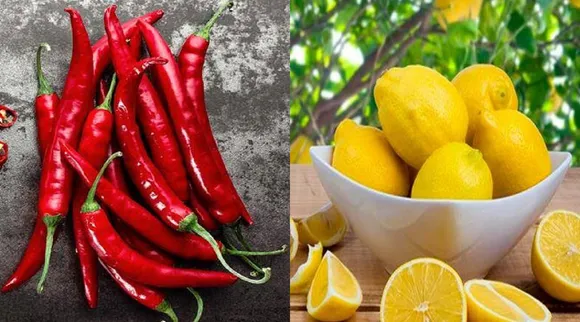 தமிழ்நாட்டின் 3 விவசாய பொருட்கள் புவிசார் குறியீட்டுக்கு விண்ணப்பம்; எவை தெரியுமா?