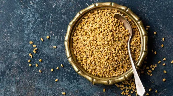 fenugreek seed, fenugreek seed constipation, fenugreek seed health, fenugreek seed bones, cholesterol, Fenugreek seeds consumes in empty stomach, fenugreek control diabete, uterine compressions, வெந்தயம், வெந்தயத்தின் பலன்கள், சர்க்கரையைக் கட்டுப்படுத்தும் வெந்தயம், ஒரு ஸ்பூன் வெந்தயம் சூடான நீரில் ஊற வைத்து சாப்பிடுங்க, சுகர் பேஷன்ட்ஸ் வெந்தயத்தை ட்ரை பண்ணுங்க, paranthas, fenugreek seed for diabetes, fenugreek seeds for digestive ailments, fenugreek seed for strengthen bones, tamil indian express news