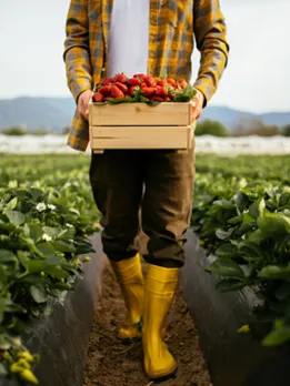 organic food 3 - unspalsh (1)