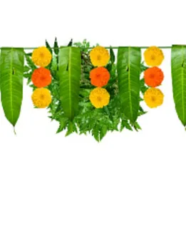 tamil new year 2 - unspalsh (1)