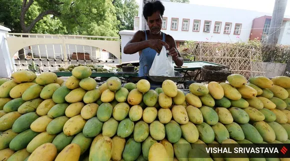 வெறும் கலரை மட்டும் பார்க்காதீங்க… சுவையான மாம்பழம் வாங்கும் 'தொழில் ரகசியம்' இதுதான்!