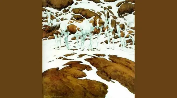 Optical illusion, how many horses, ஆப்டிகல் இலுசியன், இதில் எத்தனை குதிரைகள் இருக்கிறது சொல்லுங்க, Optical illusion test, how many horses here in this picture