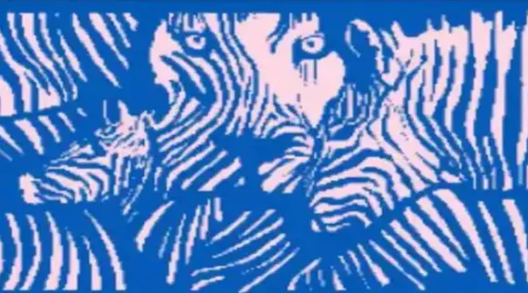 optical illusion, viral photo, trending optical illusion image