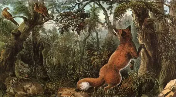 optical illusion, viral news, trending news, viral, trending, There are 15 hidden animal and human faces in the tricky optical illusion, 15 மிருகங்கள்- மனித முகங்கள் இருக்கு, நீங்க கண்டுபிடித்தது எத்தனை, How many can you spot, Optical ilusion image, find hidden animals and human faces