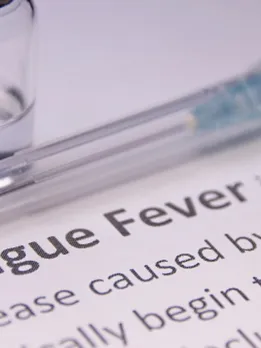 dengue 1 - unsplash (1)