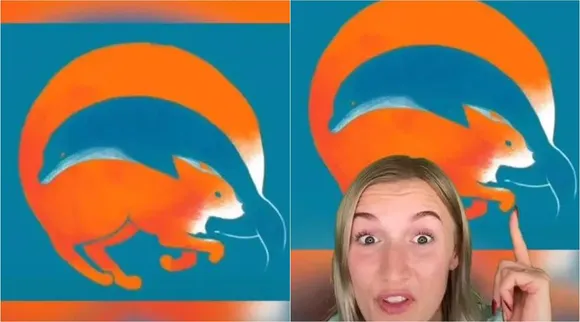 Optical illusion test, first what do you see, fox or dolphin, know your personality, நீங்கள் முதலில் பார்த்தது நரியா, நீங்கள் முதலில் பார்த்தது நரியா அல்லது டால்பினா, உங்கள் ஆளுமையை தெரிந்துகொள்ளுங்கள், Optical illusion, fox or dolphin know your personality
