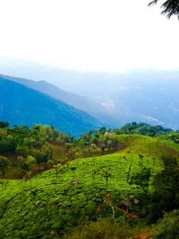 hillstations 4 - unspalsh (1)