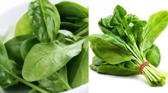 palak keerai for diabetes in tamil