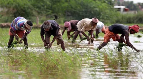 PM Kisan 12th installment Rs 2000 to be credited in farmers account before Diwali