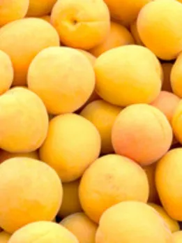 apricot 2 - SB (1)