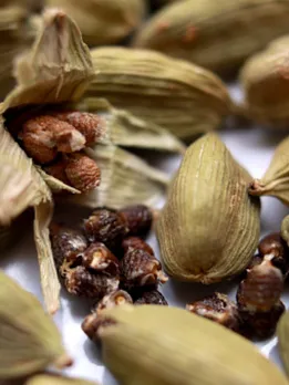cardamom 2 - unspalsh (1)