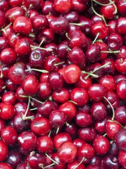 cherry 2 - SB (1)