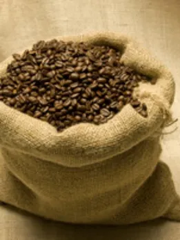 coffee 1 - SB (1)