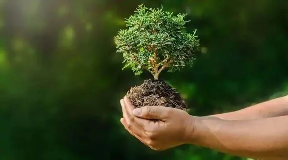 சுற்றுச்சூழல் செயல்திறன் குறியீடு; இந்தியாவுக்கு கடைசி இடம்