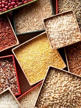 grains 4 - unsplash (1)