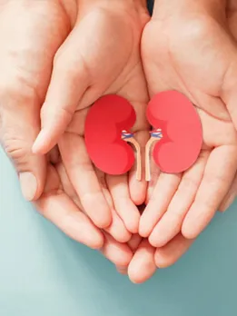 kidney 6 - unsplash (1)