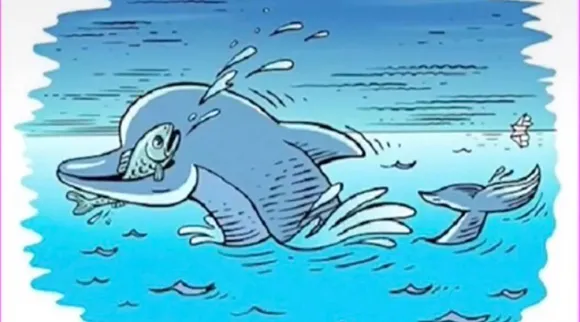 optical illusion image, dolphins, games, illusions, Optical illusion, ஆப்டிகல் இல்யூஷன், 3வது ஒரு உயிரினம் இருக்கு; கண்ணுக்கும் மூளைக்கும் சவால், கண்டுபிடிங்க, find third animal, only find 1 per cent people
