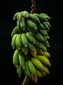 raw banana 1 - unsplash (1)